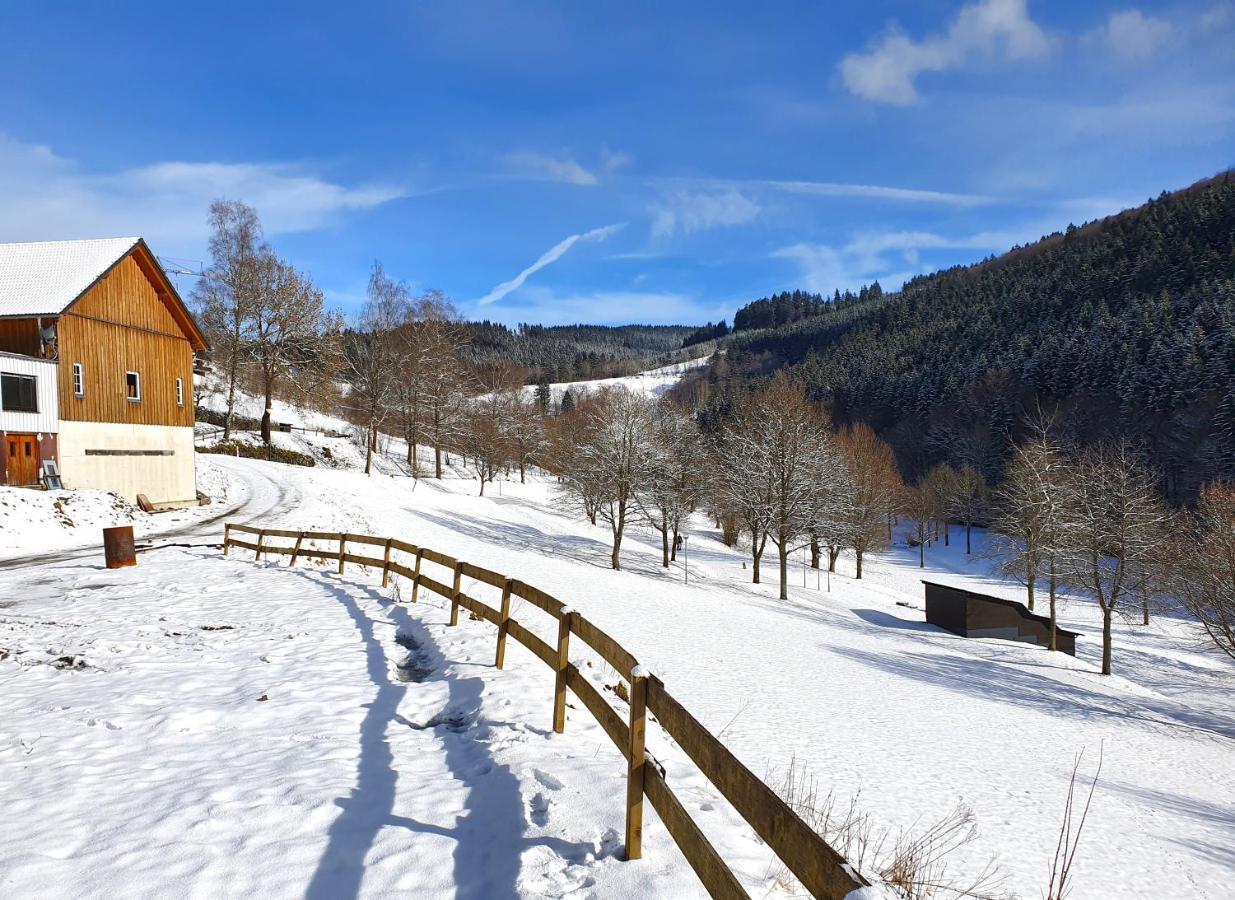 Ferienhaus Grimme - 350M2, 18 Betten - Mit Indoorspielplatz, Pool, Grosser Terrasse, Grill, Sauna, Kicker, Dart, Uvm - Ideal Fuer Familien Schmallenberg Exterior foto