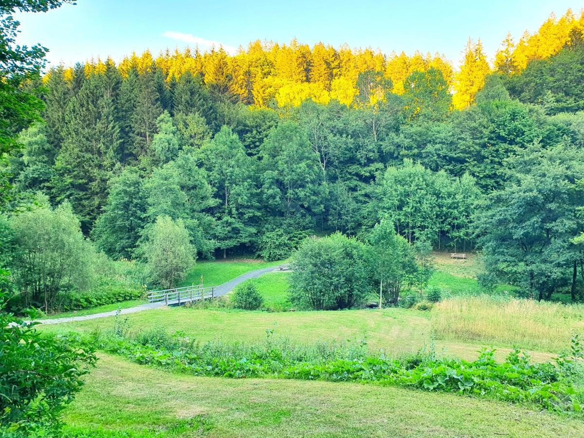 Ferienhaus Grimme - 350M2, 18 Betten - Mit Indoorspielplatz, Pool, Grosser Terrasse, Grill, Sauna, Kicker, Dart, Uvm - Ideal Fuer Familien Schmallenberg Exterior foto