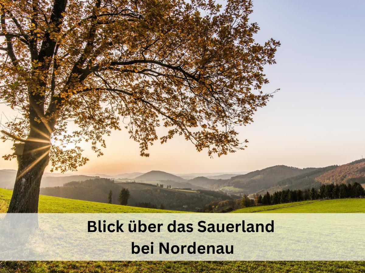 Ferienhaus Grimme - 350M2, 18 Betten - Mit Indoorspielplatz, Pool, Grosser Terrasse, Grill, Sauna, Kicker, Dart, Uvm - Ideal Fuer Familien Schmallenberg Exterior foto