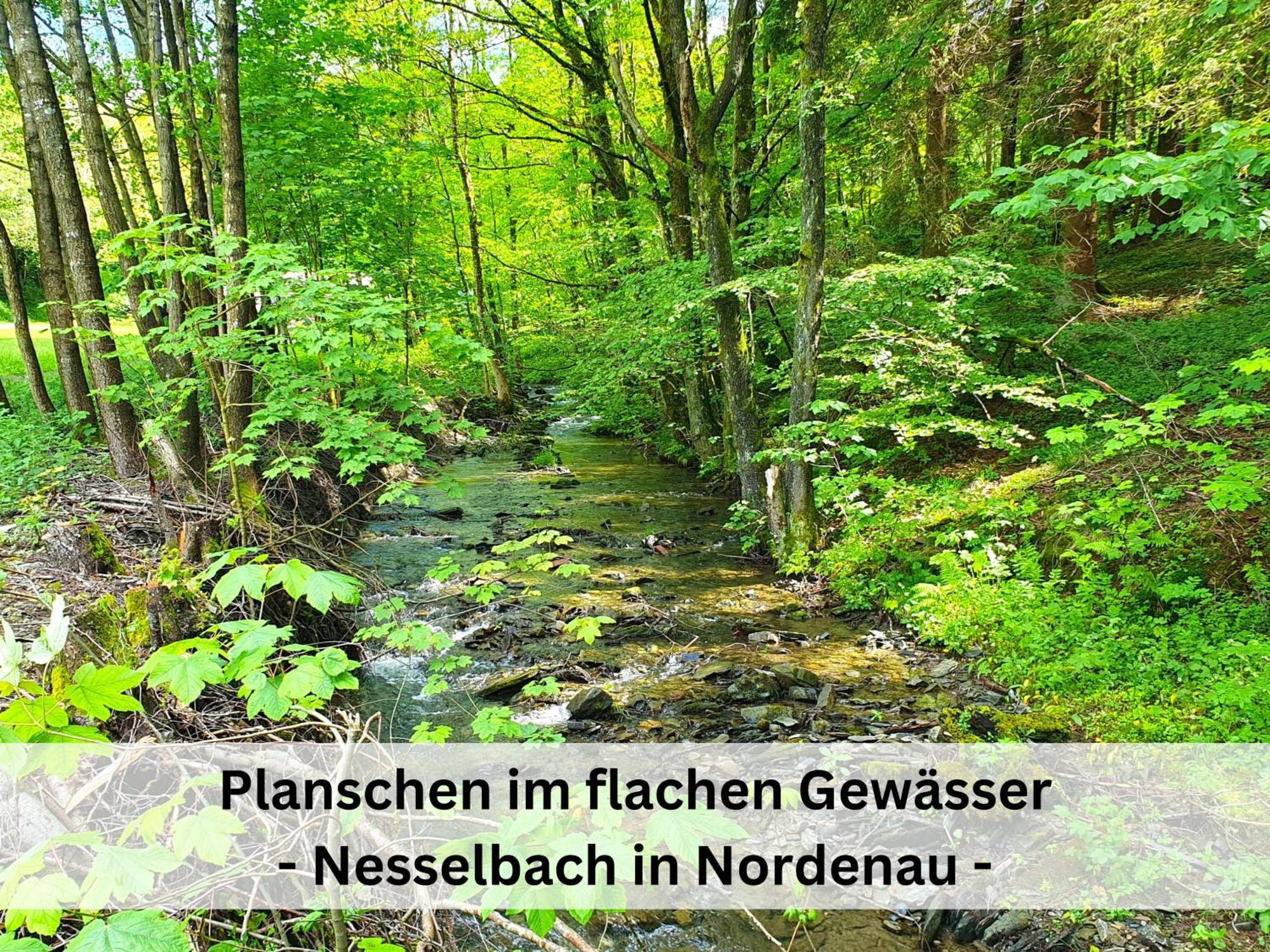 Ferienhaus Grimme - 350M2, 18 Betten - Mit Indoorspielplatz, Pool, Grosser Terrasse, Grill, Sauna, Kicker, Dart, Uvm - Ideal Fuer Familien Schmallenberg Exterior foto